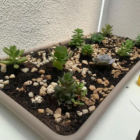 Re Tancredi House Apartamento